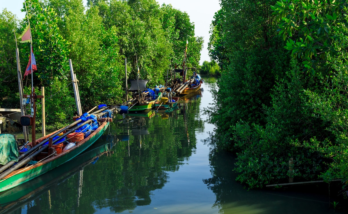 Photo: iStock Photo: iStock