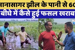 Monsoon 2025: Anasagar Lake के पानी से सैकड़ों बीघा Crop खराब?