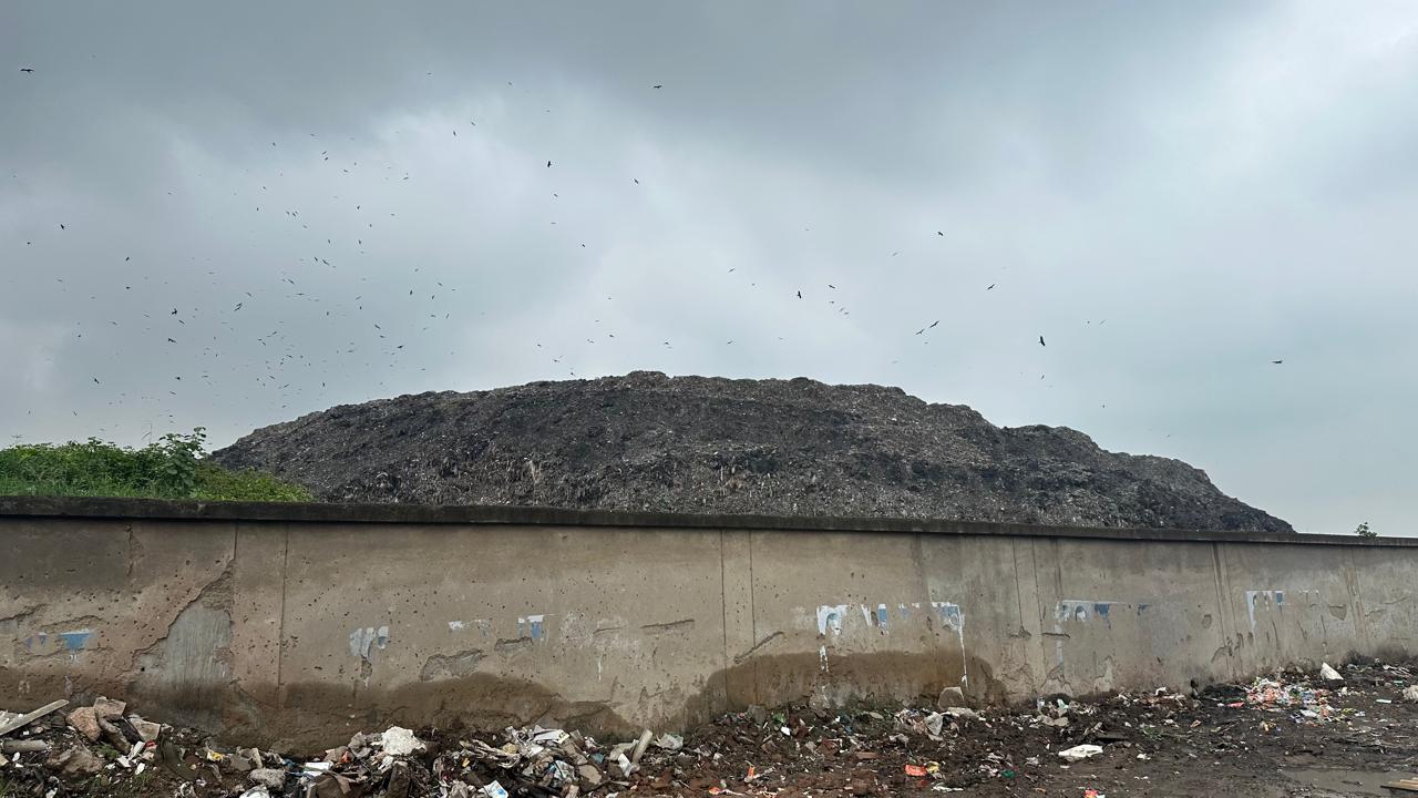 Smoke emanating from the Pirana dumping ground. Smoke emanating from the Pirana dumping ground.