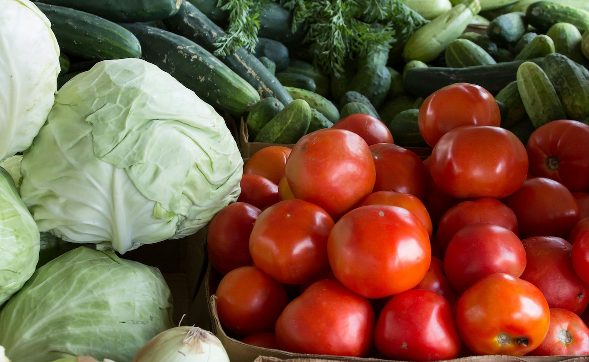 Latest and Breaking News on NDTV Latest and Breaking News on NDTV