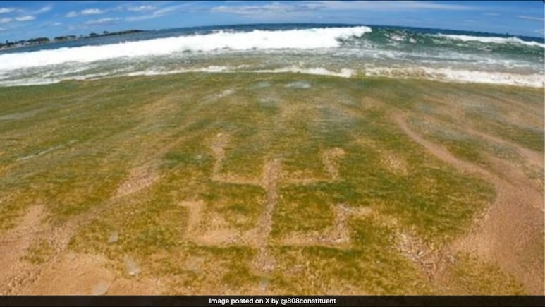 500 Years Old Hawaiian Petroglyph Now Visible In Ohao. Here's How 500 Years Old Hawaiian Petroglyph Now Visible In Ohao. Here's How