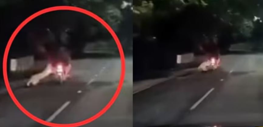 कैमरे में कैद खौफनाक मंजर, रात के अंधेरे में बाइक सवार पर झपटा तेंदुआ, चंद सेकंड से बची जान