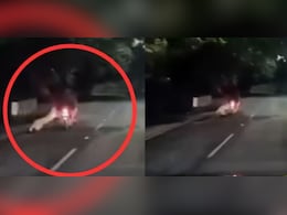 कैमरे में कैद खौफनाक मंजर, रात के अंधेरे में बाइक सवार पर झपटा तेंदुआ, चंद सेकंड से बची जान