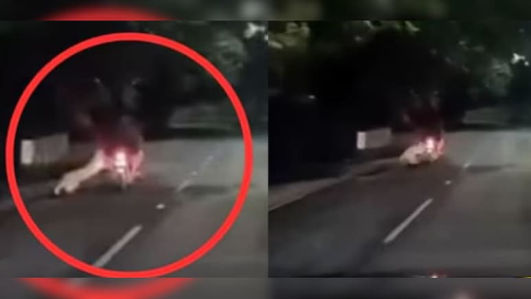 कैमरे में कैद खौफनाक मंजर, रात के अंधेरे में बाइक सवार पर झपटा तेंदुआ, चंद सेकंड से बची जान कैमरे में कैद खौफनाक मंजर, रात के अंधेरे में बाइक सवार पर झपटा तेंदुआ, चंद सेकंड से बची जान