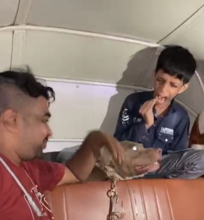 Video: Man Laughs As His Pit Bull Bites Child Inside Auto-Rickshaw In Mumbai