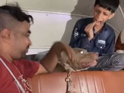 &quot;I Was Very Scared&quot;: Minor Victim Of Deliberate Dog Bite Case In Mumbai