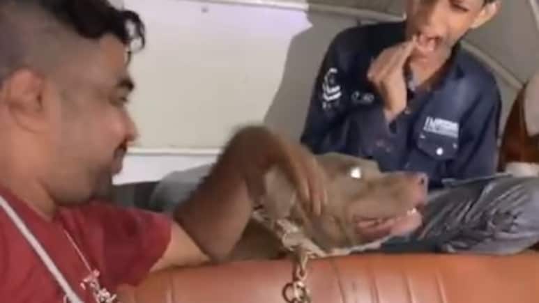 "I Was Very Scared": Minor Victim Of Deliberate Dog Bite Case In Mumbai
