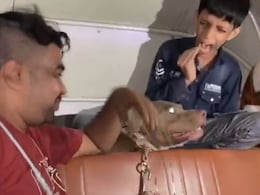 "I Was Very Scared": Minor Victim Of Deliberate Dog Bite Case In Mumbai "I Was Very Scared": Minor Victim Of Deliberate Dog Bite Case In Mumbai