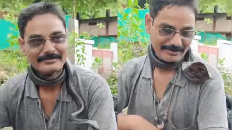 गले में जहरीला सांप लटकाकर...बाइक पर बेटा लेने निकला शख्स, रील बनाने के चक्कर में हो गई मौत