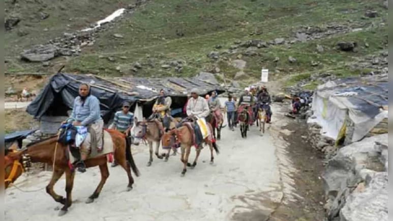 Success Story: केदारनाथ में घोड़े खच्चर चलाकर उठाया घर का खर्चा, मेहनत से पढ़ाई कर टॉप IIT में लिया एडमिशन, जानें कौन हैं ये अतुल कुमार Success Story: केदारनाथ में घोड़े खच्चर चलाकर उठाया घर का खर्चा, मेहनत से पढ़ाई कर टॉप IIT में लिया एडमिशन, जानें कौन हैं ये अतुल कुमार