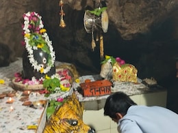 पुजारी को आया था खजाने का सपना, 65 साल पहले खुदाई में गुफा से निकले पातालेश्वर महादेव... खूब है इसकी मान्यता पुजारी को आया था खजाने का सपना, 65 साल पहले खुदाई में गुफा से निकले पातालेश्वर महादेव... खूब है इसकी मान्यता