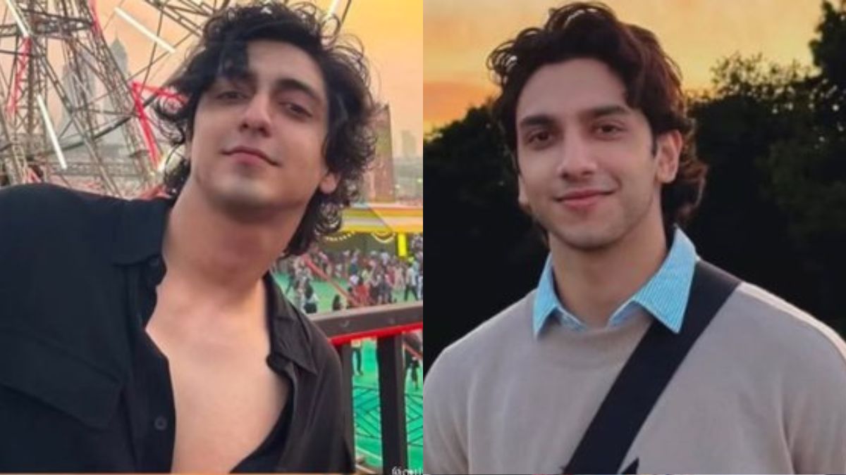 Ahaan Panday And Vedang Raina's Lookalike Memes Are The Internet's New Obsession: "Male Counterpart Of Raveena-Twinkle"