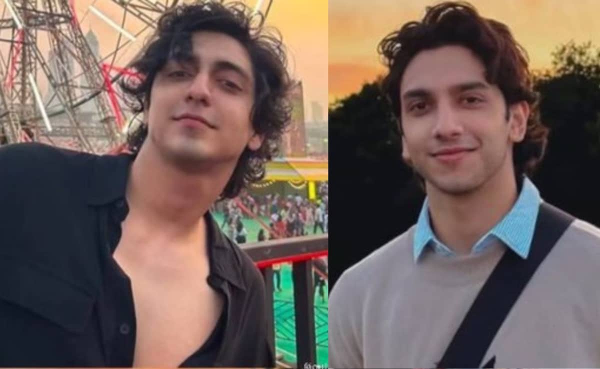 Ahaan Panday And Vedang Raina's Lookalike Memes Are The Internet's New Obsession: "Male Counterpart Of Raveena-Twinkle"