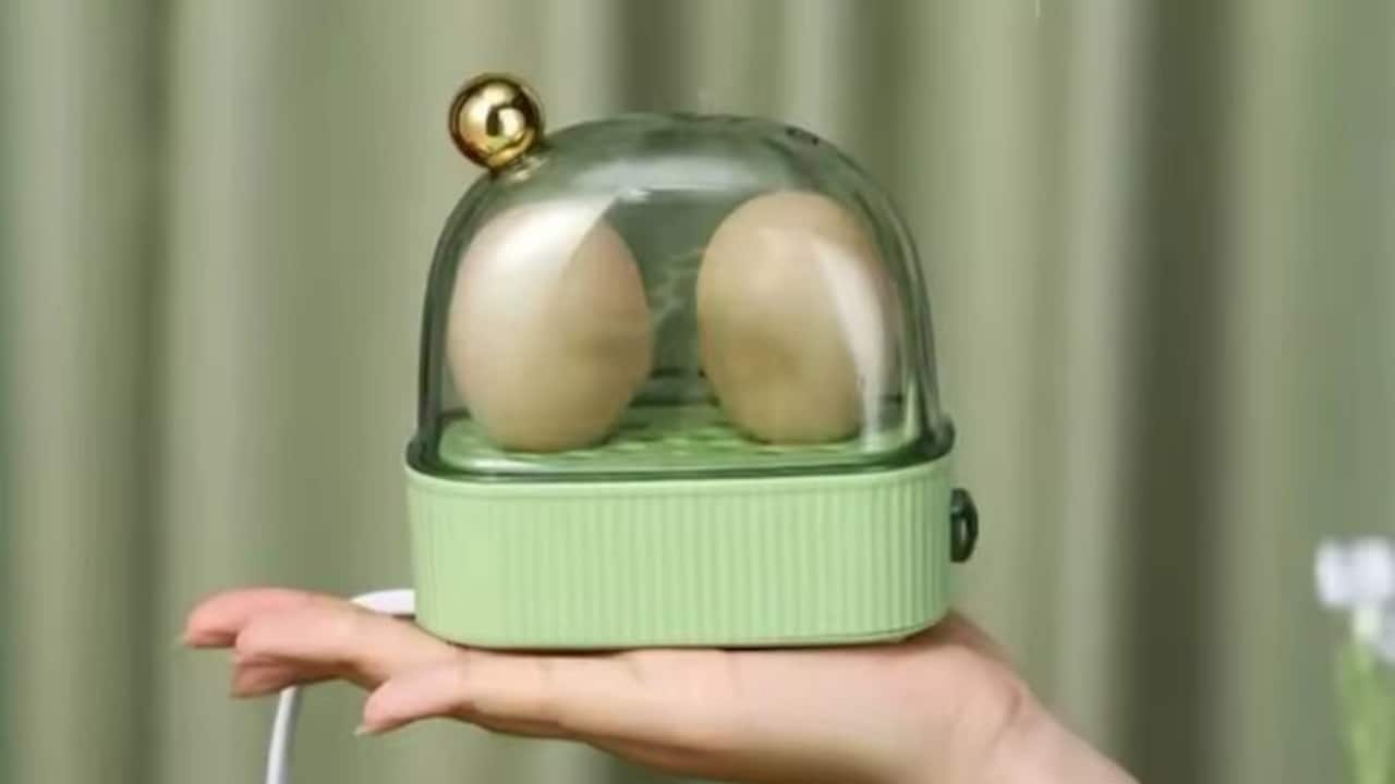 Portable Kitchen Appliances you can use on the Go available on Flipkart