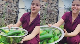 Rubina Dilaik Gives A Glimpse Into Her "<i>Ghar Ki Kheti</i>" - Watch Video