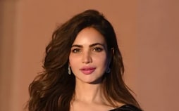 Pak Actor Humaira Asghar, Found Dead This Week, Died 9 Months Ago: Report