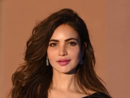 Pakistani Actor Humaira Asghar, Found Dead In Her Karachi Flat This Week, Died Nine Months Ago: Report