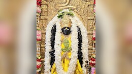 वासुदेव द्वादशी: भगवान विष्णु को प्रसन्न करने का विशेष दिन, जानें पूजा की विधि