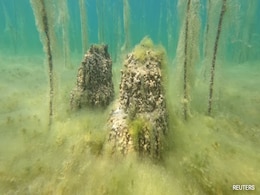 Europe's Oldest Lake Settlement From 8,000 Years Ago Found In Albania Europe's Oldest Lake Settlement From 8,000 Years Ago Found In Albania