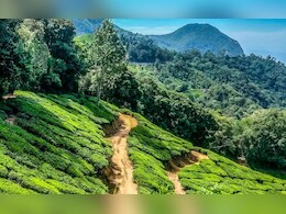 Chikhaldara Accident: चिखलदऱ्यात मोठी दुर्घटना! पर्यटकांची कार थेट 400 फूट खोल दरीत कोसळली, मध्यरात्री थरार