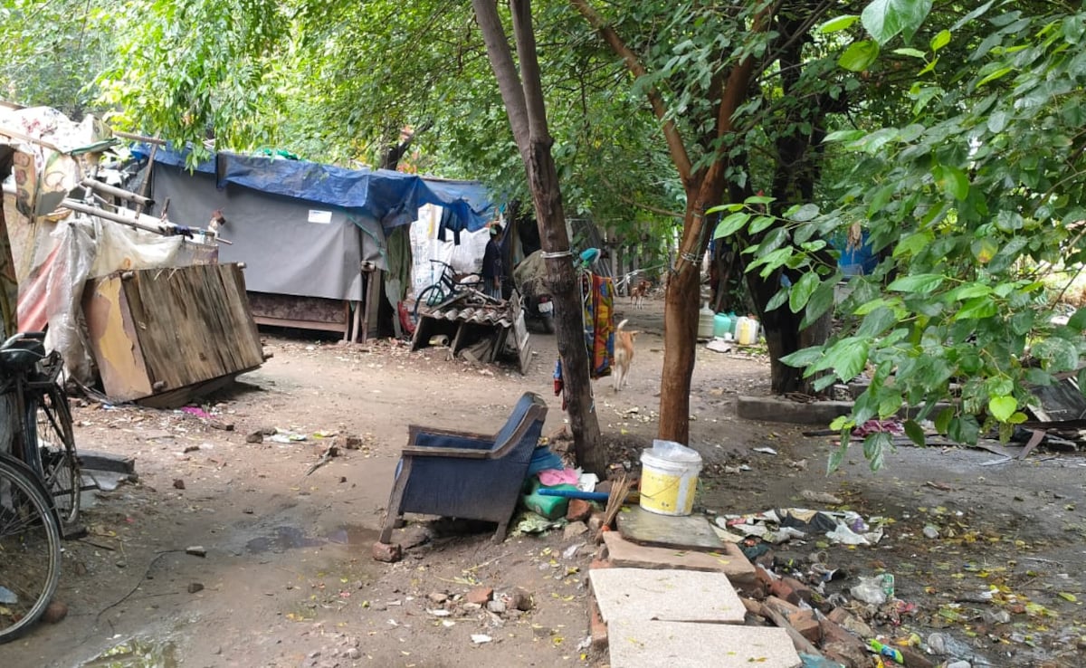 Latest and Breaking News on NDTV