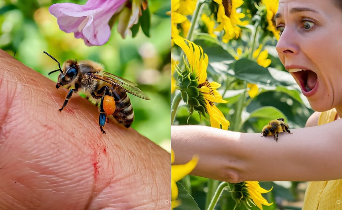 Ajanta Caves: मधुमक्खियों के हमले से बचने में मदद करेगा तेज परफ्यूम, जानिए कैसे करना है बचाव