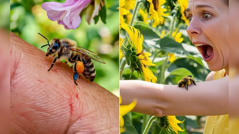 Ajanta Caves: मधुमक्खियों के हमले से बचने में मदद करेगा तेज परफ्यूम, जानिए कैसे करना है बचाव