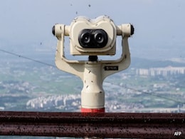 How South Korea Is Dealing With Viral "Lovebug" Invasion How South Korea Is Dealing With Viral "Lovebug" Invasion