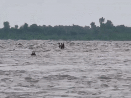 कोटा में बारिश बनी आफत, तेज बहाव में बह गए 6 लोग; स्कूटी के साथ बही छात्रा की मौत कोटा में बारिश बनी आफत, तेज बहाव में बह गए 6 लोग; स्कूटी के साथ बही छात्रा की मौत