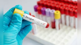 Kalyan Dengue Case: कल्याणमध्ये डेंग्युचा पहिला बळी!  तरुणाच्या मृत्यूनंतर मनसे आक्रमक
