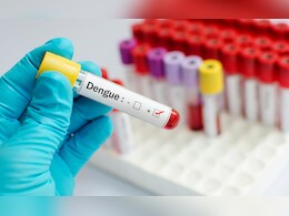 Kalyan Dengue Case: कल्याणमध्ये डेंग्युचा पहिला बळी!  तरुणाच्या मृत्यूनंतर मनसे आक्रमक Kalyan Dengue Case: कल्याणमध्ये डेंग्युचा पहिला बळी!  तरुणाच्या मृत्यूनंतर मनसे आक्रमक