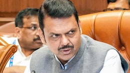 Messages Being Conveyed Through Punches, Kicks: D Fadnavis On Assembly Clash