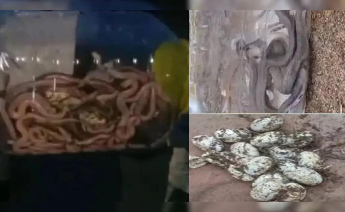 Latest and Breaking News on NDTV Latest and Breaking News on NDTV