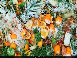 Trash to Treasure: Researchers Transform Food Waste Into Eco-Friendly Plastic Trash to Treasure: Researchers Transform Food Waste Into Eco-Friendly Plastic