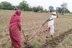 "No Choice": No Money For Oxen, Tractor, Elderly Couple Till Land For Crops "No Choice": No Money For Oxen, Tractor, Elderly Couple Till Land For Crops