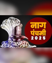 नागपंचमी पर क्या नागों के दर्शन बगैर अधूरी रह जाती है पूजा, जानें कैसे मिलेगा आशीर्वाद