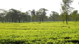 Opinion | Barak Valley In Crisis - Call for Connectivity, Equity, And National Integration