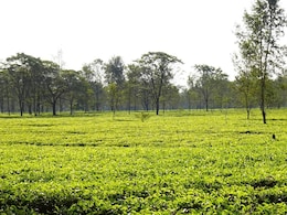 Opinion | Barak Valley In Crisis - Call for Connectivity, Equity, And National Integration Opinion | Barak Valley In Crisis - Call for Connectivity, Equity, And National Integration