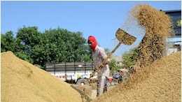 राजस्थान की 247 मंडियों में 4 दिन की हड़ताल क्यों? व्यापारियों की क्या हैं मांगें