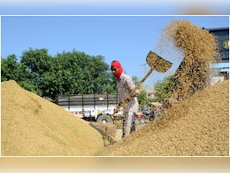 Rs 62,944 Crore Debt, Rotting Grain: Madhya Pradesh Admits To Food Supply Failure