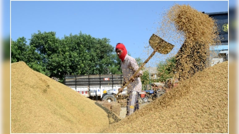 Rs 62,944 Crore Debt, Rotting Grain: Madhya Pradesh Admits To Food Supply Failure