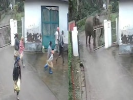 On Camera, Elephant Chases Workers Near Coffee Estate In Karnataka On Camera, Elephant Chases Workers Near Coffee Estate In Karnataka