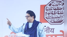 Marathi Hindi Row: राज ठाकरेंवर FIR दाखल करा, थेट सुप्रीम कोर्टात याचिका दाखल; प्रकरण काय?