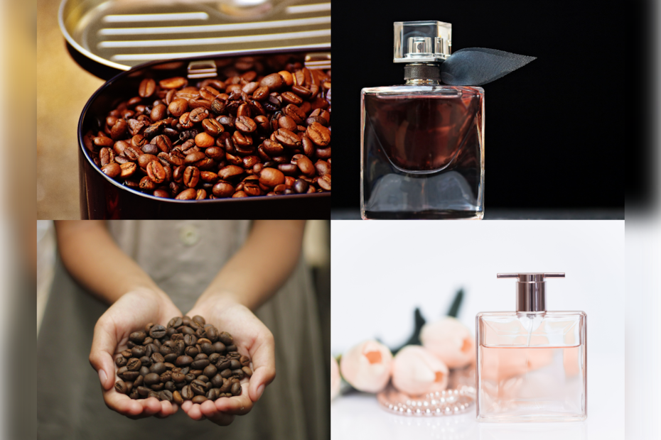 Coffee,Perfume,Latest blog,Latest trending perfume,viral news,Whosthat360,social media,news and media Coffee,Perfume,Latest blog,Latest trending perfume,viral news,Whosthat360,social media,news and media