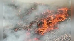 भोपाल में कूड़े के ढेर में जलते दिखे तिरंगे, शिकायत मिलते ही मचा हड़कंप, जांच कर रही पुलिस&nbsp;