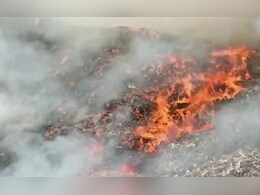 भोपाल में कूड़े के ढेर में जलते दिखे तिरंगे, शिकायत मिलते ही मचा हड़कंप, जांच कर रही पुलिस 