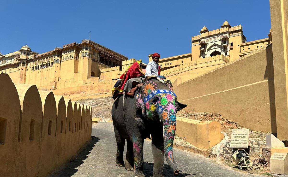 Add image caption here Add image caption here