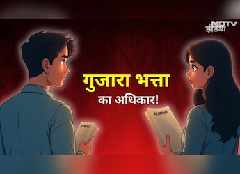 ज्&zwj;योति-आलोक मौर्य केस: क्या पत्नी से गुजारा-भत्ता मांग सकता है पति? क्या कहता है कानून, वकील से जानिए