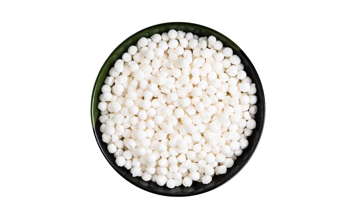 इन 7 लोगों के लिए वरदान से कम नहीं है साबूदाना, जानें व्रत में कैसे करें इसका सेवन