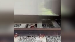 3 Detained For Reel Stunt After Boy Lay On Tracks As Train Sped By